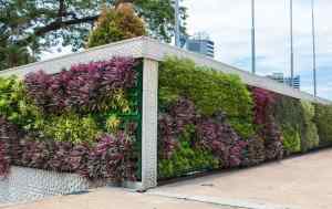 vertical garden malaysia